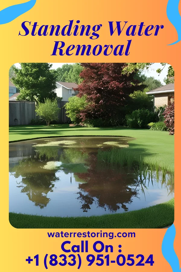 Standing Water Removal in Baker, OK